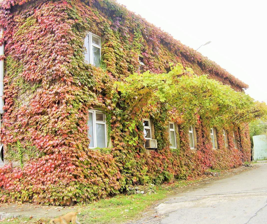 Hotel Lilo near Airport Tbilisi Esterno foto